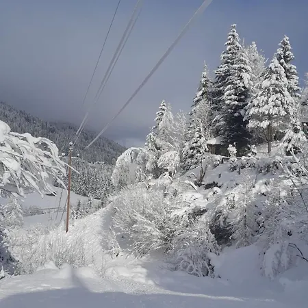 Apartmán In Near Slopes *