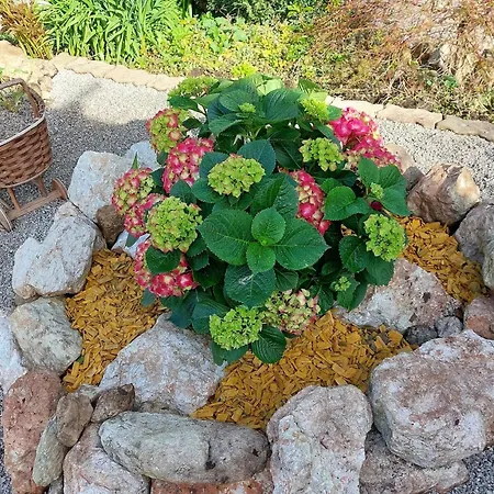 In Near Slopes Untertauern