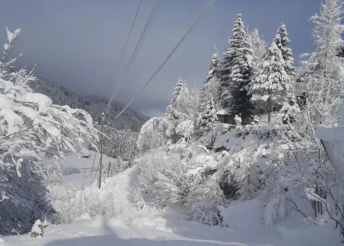 Appartement In Near Slopes *